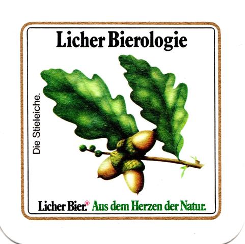 lich gi-he licher biero bfr lo ov 5b (quad185-die stileiche) 